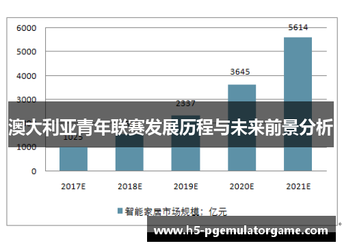 澳大利亚青年联赛发展历程与未来前景分析