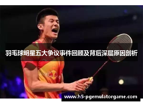 羽毛球明星五大争议事件回顾及背后深层原因剖析