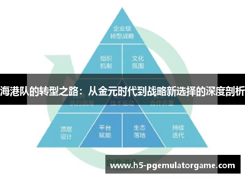 海港队的转型之路：从金元时代到战略新选择的深度剖析
