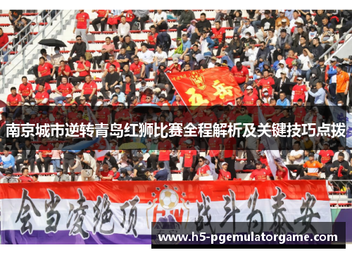 南京城市逆转青岛红狮比赛全程解析及关键技巧点拨