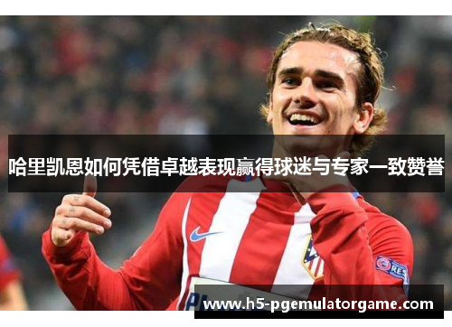 哈里凯恩如何凭借卓越表现赢得球迷与专家一致赞誉