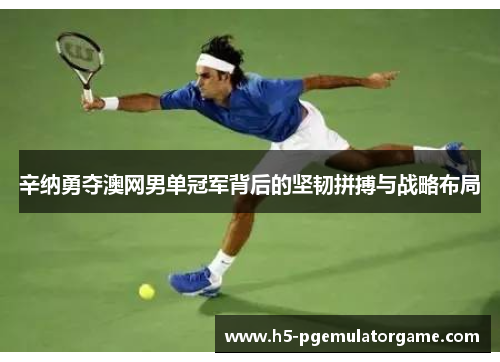 辛纳勇夺澳网男单冠军背后的坚韧拼搏与战略布局