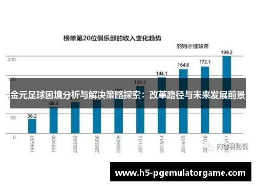 金元足球困境分析与解决策略探索：改革路径与未来发展前景