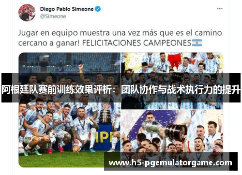 阿根廷队赛前训练效果评析：团队协作与战术执行力的提升