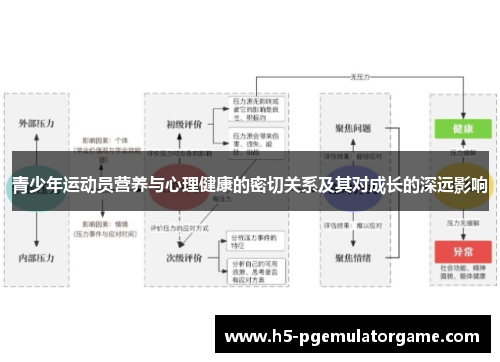 青少年运动员营养与心理健康的密切关系及其对成长的深远影响