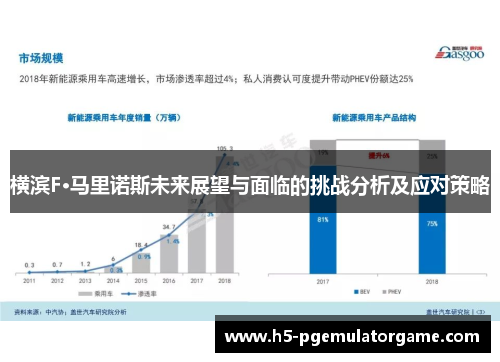 横滨F·马里诺斯未来展望与面临的挑战分析及应对策略
